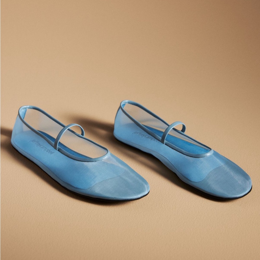 Swan Lake Mesh Ballet Flats